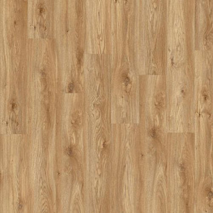 фото Дуб Сьерра (Sierra Oak 58346)